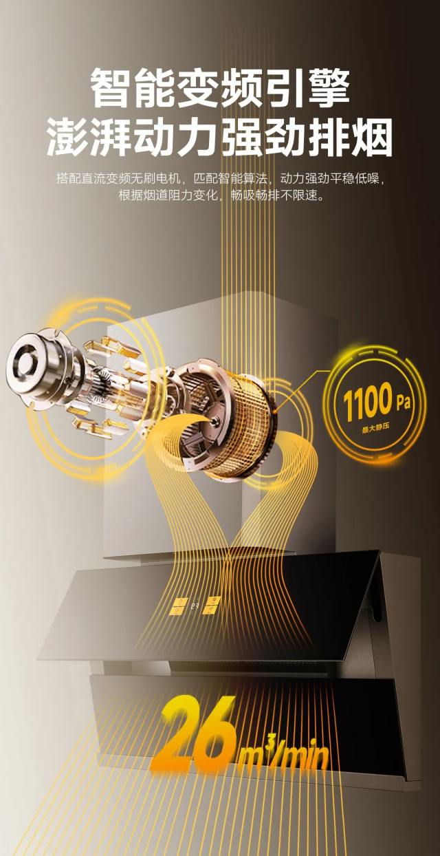 1712045032489502.jpg 640.webp.jpg